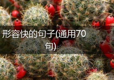 形容快的句子(通用70句)