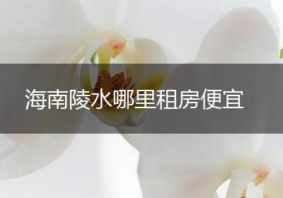 海南陵水哪里租房便宜