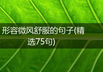 形容微风舒服的句子(精选75句)