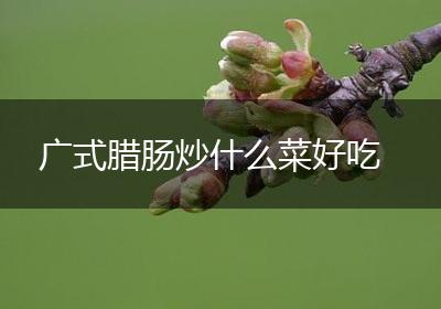 广式腊肠炒什么菜好吃