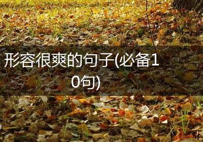 形容很爽的句子(必备10句)
