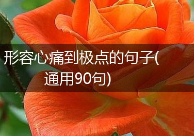 形容心痛到极点的句子(通用90句)