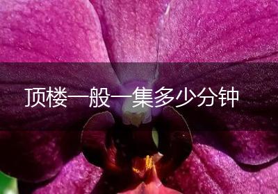 顶楼一般一集多少分钟