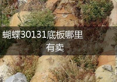 蝴蝶30131底板哪里有卖