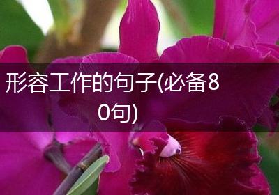形容工作的句子(必备80句)