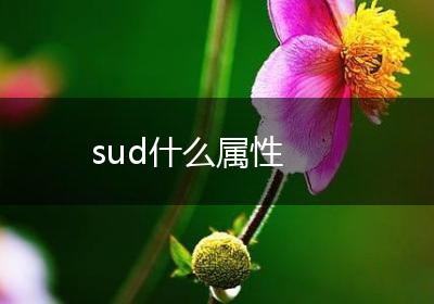 sud什么属性