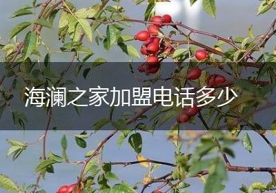 海澜之家加盟电话多少