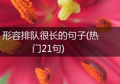 形容排队很长的句子(热门21句)