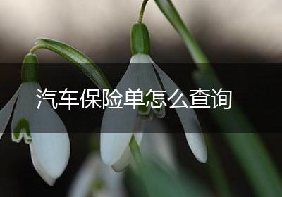 汽车保险单怎么查询