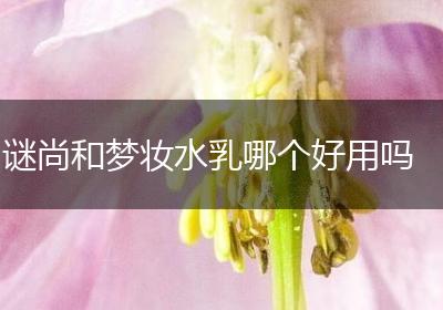谜尚和梦妆水乳哪个好用吗