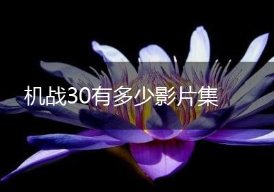 机战30有多少影片集