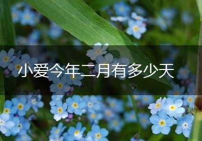 小爱今年二月有多少天