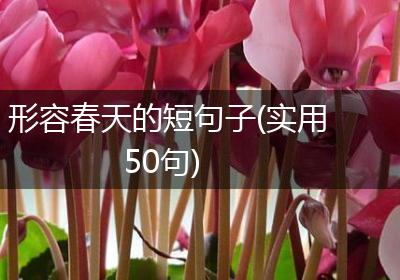 形容春天的短句子(实用50句)