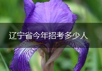 辽宁省今年招考多少人