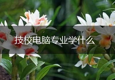 技校电脑专业学什么