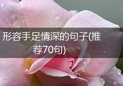 形容手足情深的句子(推荐70句)