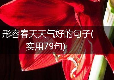 形容春天天气好的句子(实用79句)