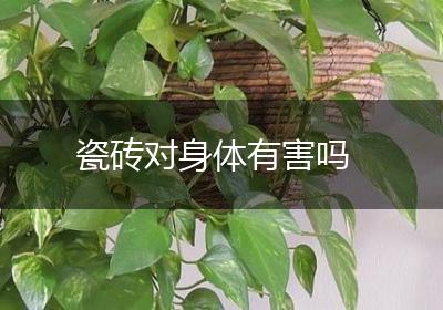 瓷砖对身体有害吗