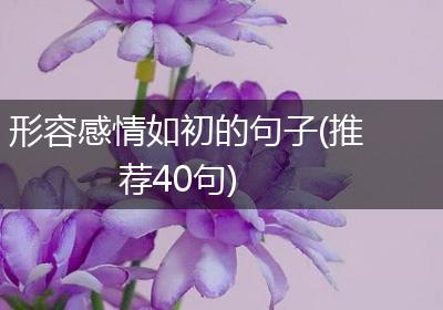 形容感情如初的句子(推荐40句)