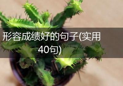 形容成绩好的句子(实用40句)