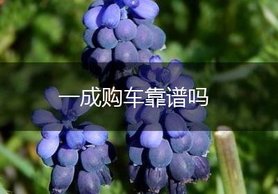 一成购车靠谱吗
