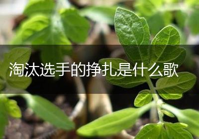 淘汰选手的挣扎是什么歌