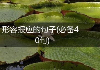 形容报应的句子(必备40句)