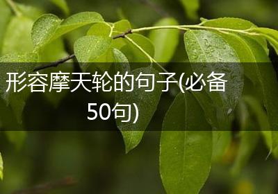 形容摩天轮的句子(必备50句)
