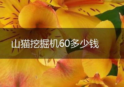 山猫挖掘机60多少钱