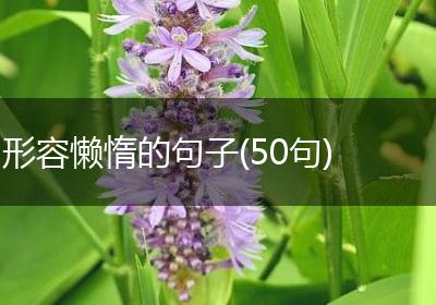 形容懒惰的句子(50句)
