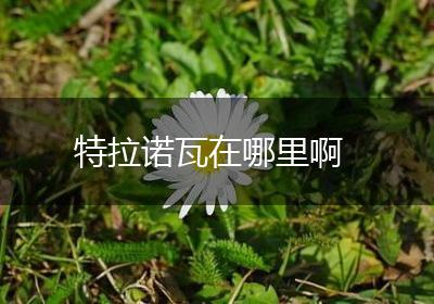 特拉诺瓦在哪里啊