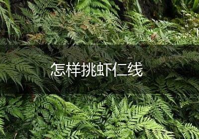 怎样挑虾仁线