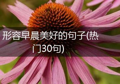 形容早晨美好的句子(热门30句)