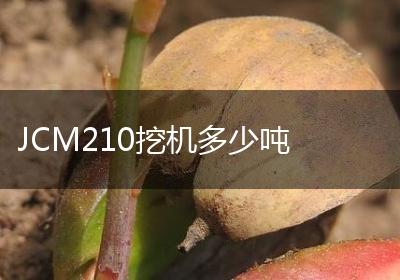 JCM210挖机多少吨