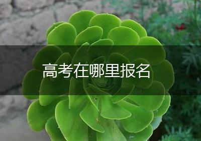 高考在哪里报名