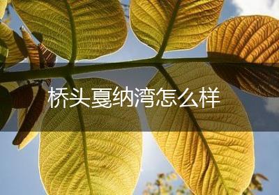 桥头戛纳湾怎么样