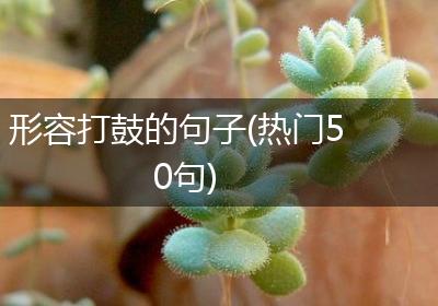 形容打鼓的句子(热门50句)