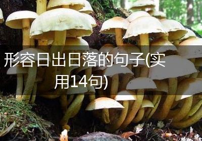 形容日出日落的句子(实用14句)