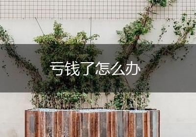 亏钱了怎么办