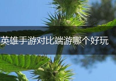 英雄手游对比端游哪个好玩