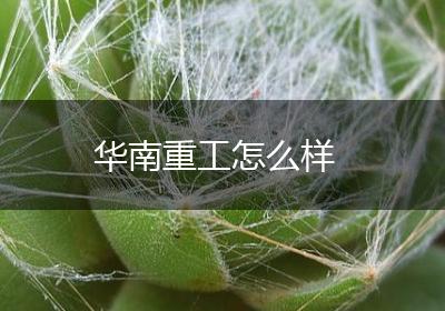 华南重工怎么样