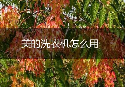 美的洗衣机怎么用