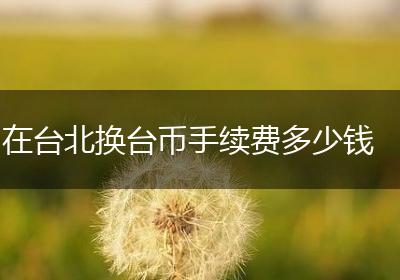 在台北换台币手续费多少钱