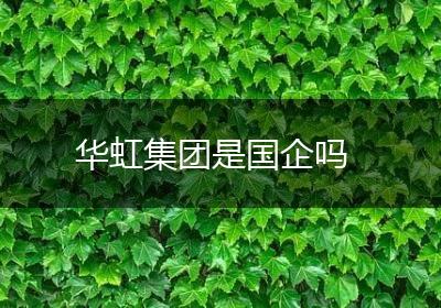 华虹集团是国企吗