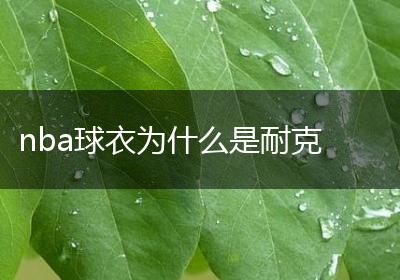 nba球衣为什么是耐克