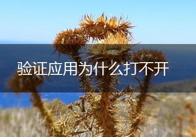验证应用为什么打不开
