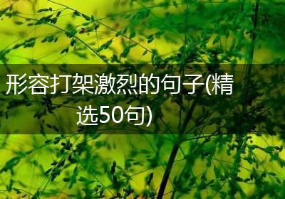 形容打架激烈的句子(精选50句)