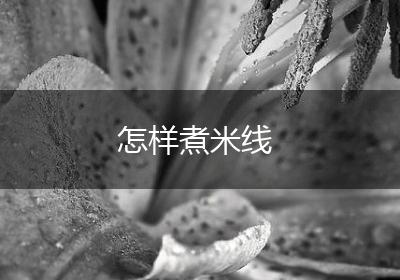 怎样煮米线