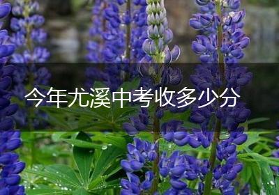 今年尤溪中考收多少分
