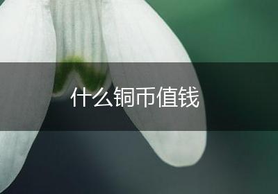 什么铜币值钱